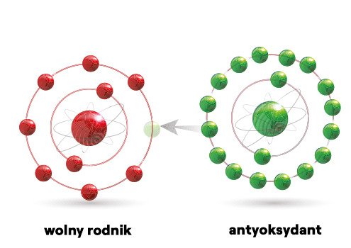 antyoksydanty