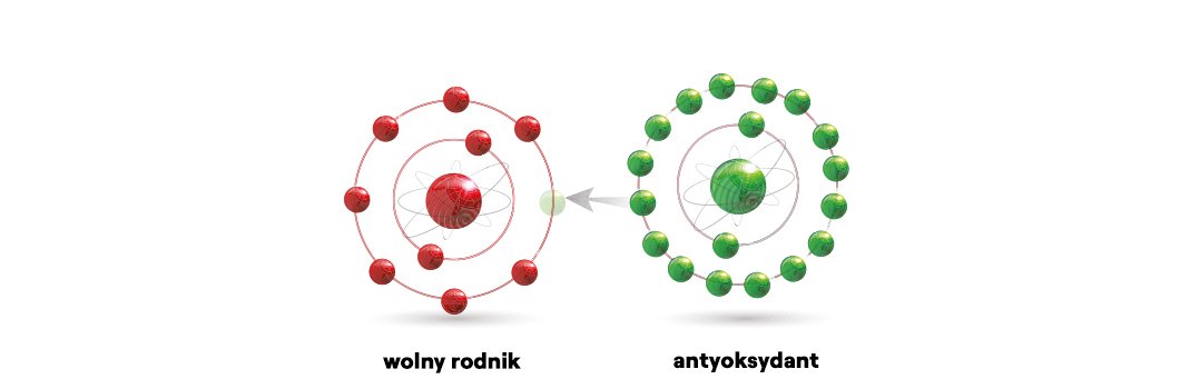 antyoksydanty