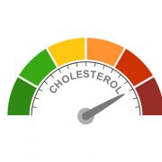 cholesterol