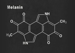 co to jest melanina