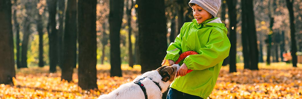 sport jesienią