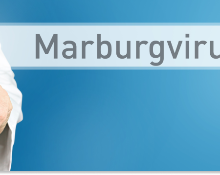 wirus marburg