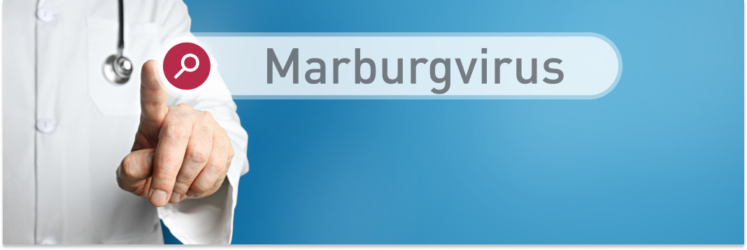 wirus marburg