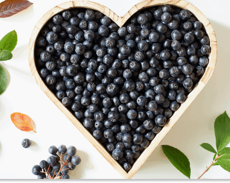 aronia właściwości lecznicze
