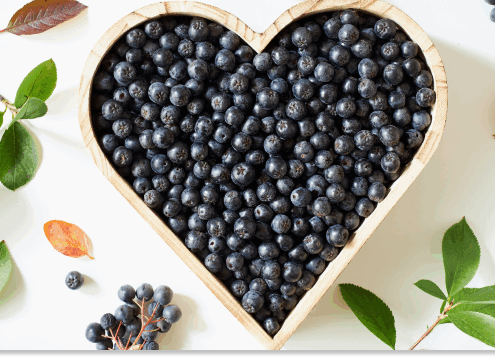aronia właściwości lecznicze