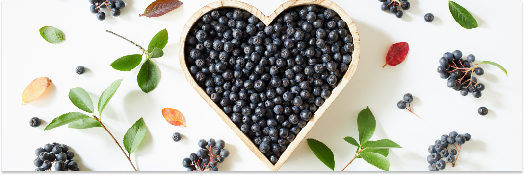 aronia właściwości lecznicze