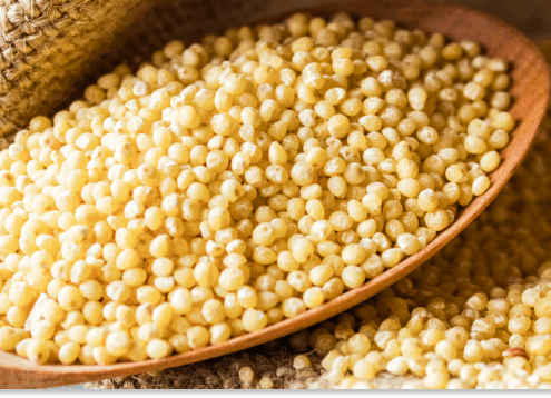 kasza jaglana wartości odżywcze