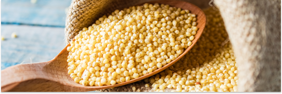 kasza jaglana wartości odżywcze