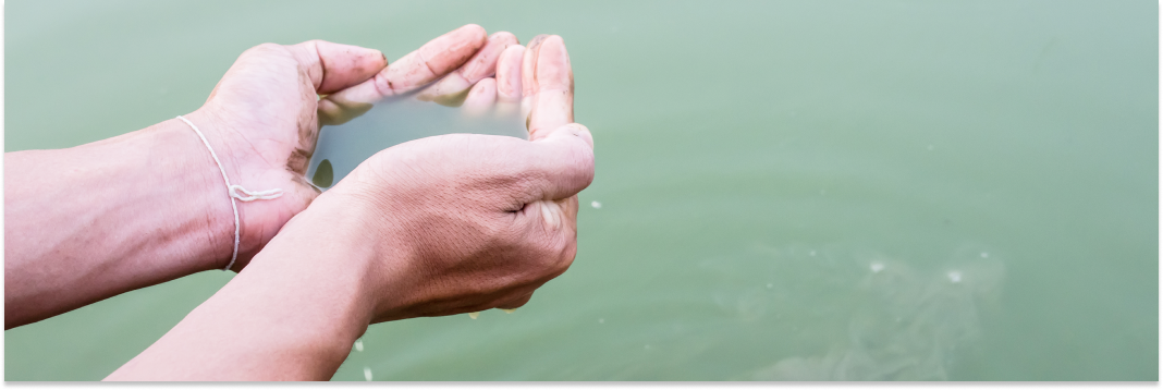 cholera profilaktyka