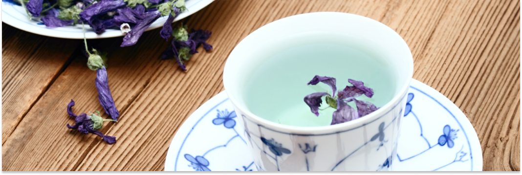 kwiat ślazu dzikiego