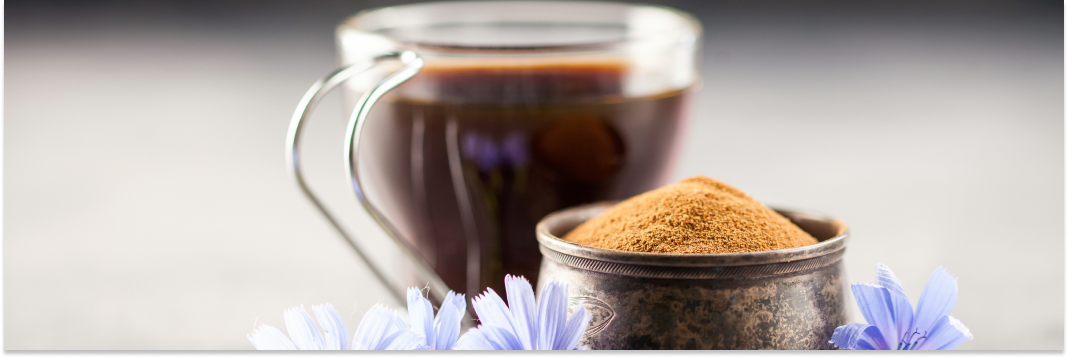 napar z korzenia cyrkorii przepis