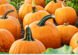 proste przepisy z dyni