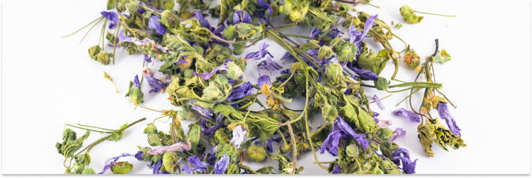 suszenie ślazu dzikiego