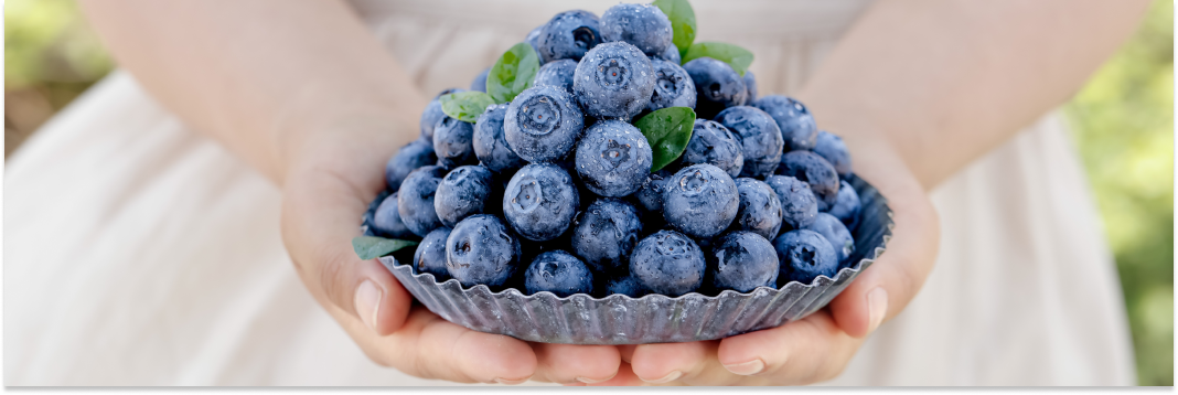 antyoksydanty w owocach