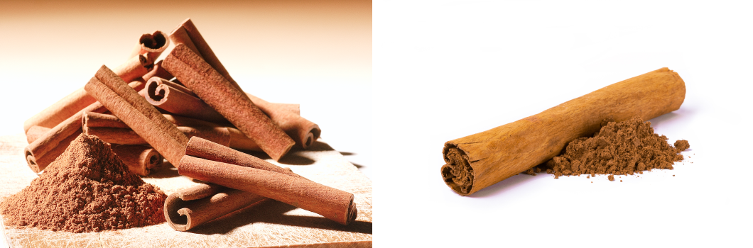 prawdziwy cynamon cejloński jak rozpoznać