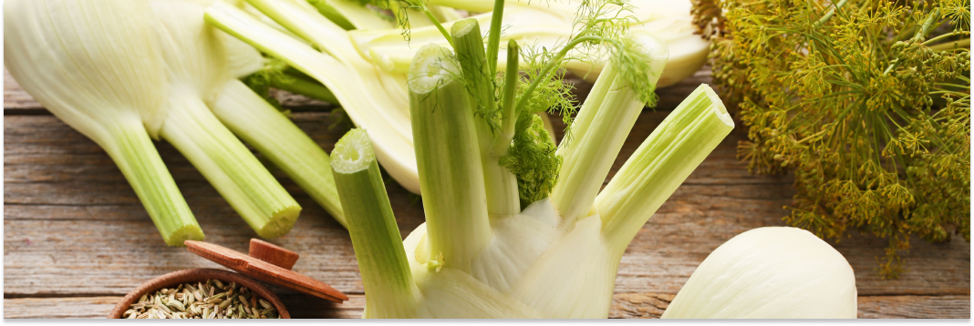 koper włoski właściwości