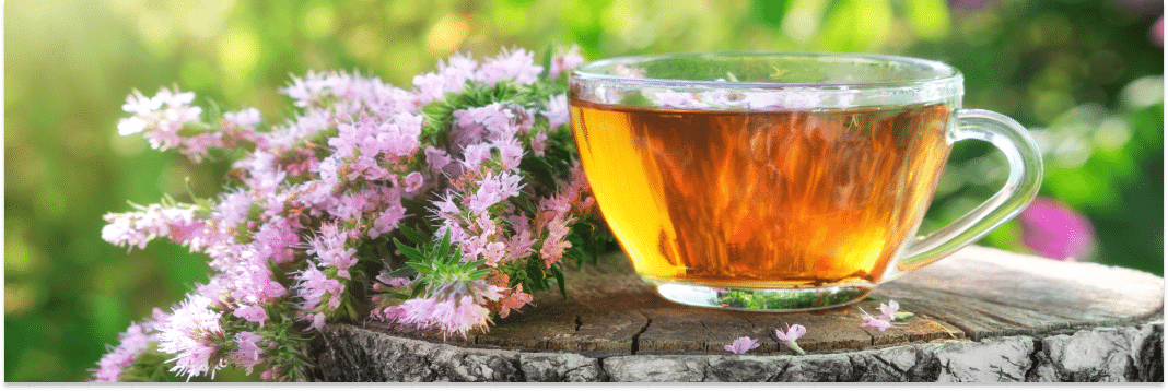 napar z hyzopu lekarskiego