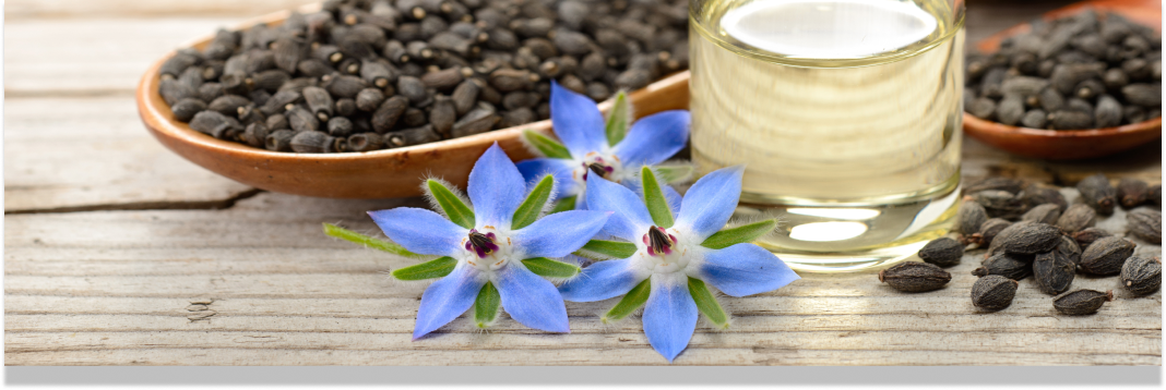 olej z ogórecznika lekarskiego