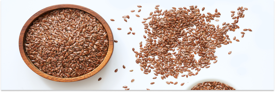 właściwości lnu zwyczajnego