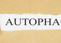 autofagia co to jest