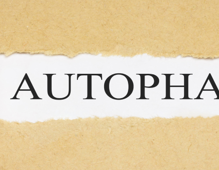 autofagia co to jest