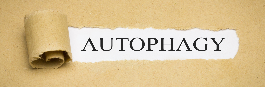autofagia co to jest