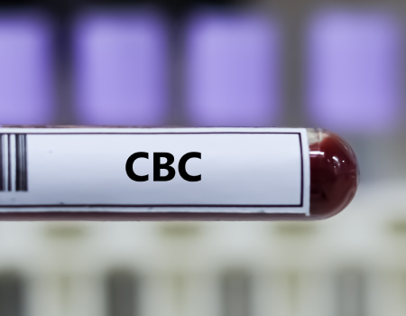 co to jest morfologia