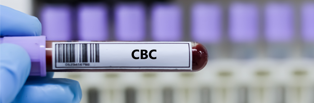 co to jest morfologia