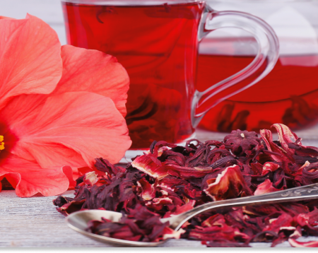 hibiskus właściwości